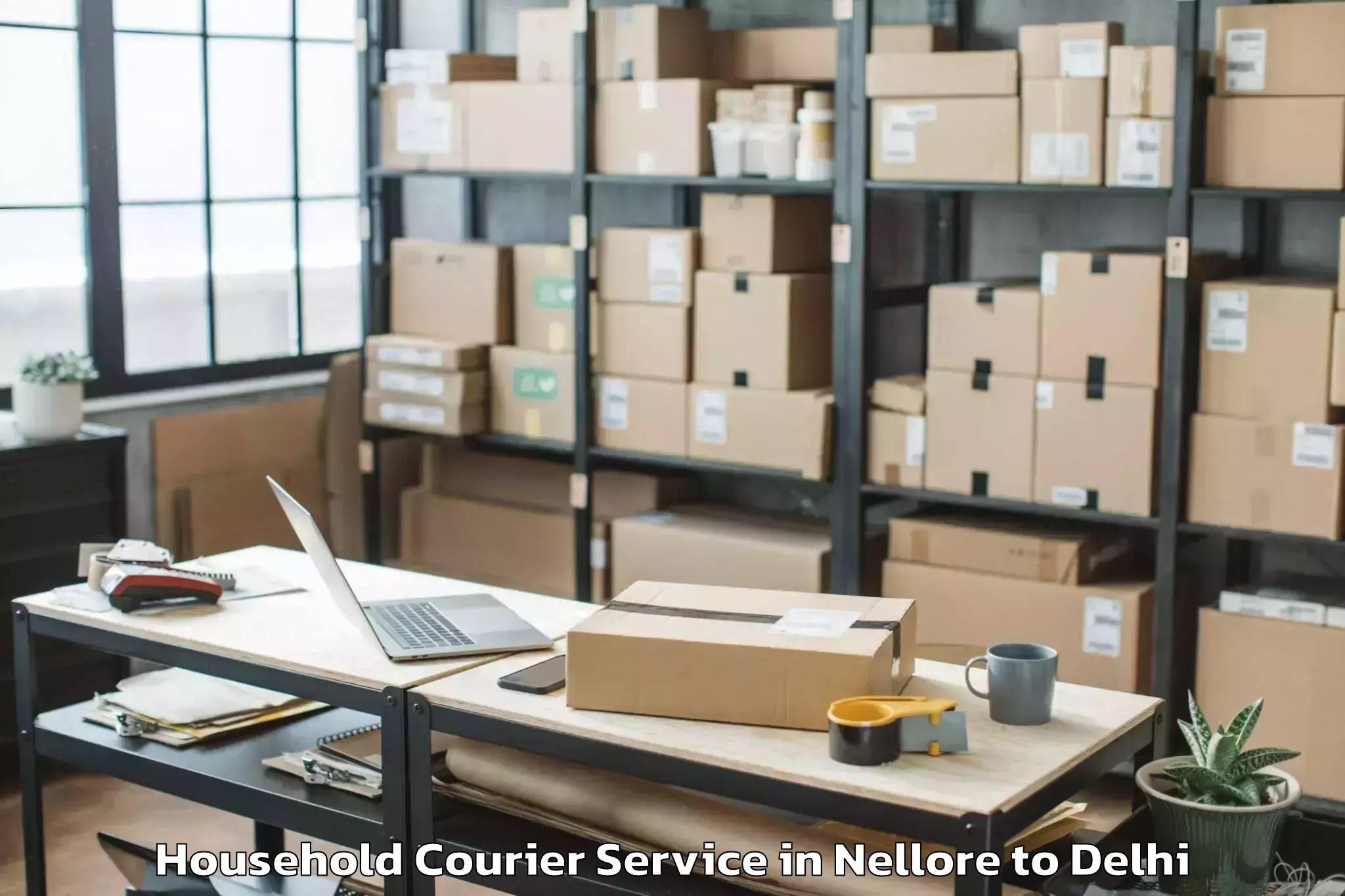 Professional Nellore to Defence Colony Household Courier